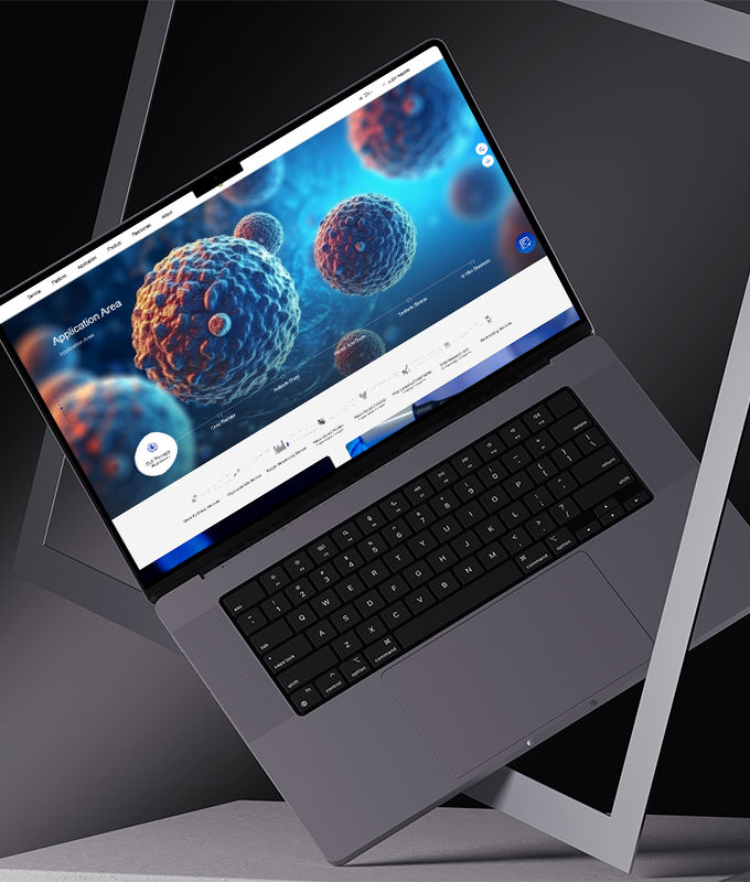 专业公司网站制作服务