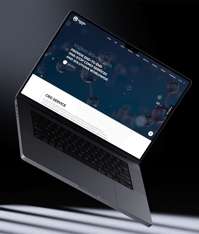 多语言网站定制